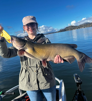 Clearlake catfish: Fishing dreams fulfilled!